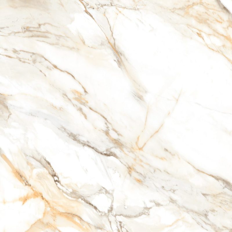 Ceraland CALACATTA PAONAZZO 600x1200